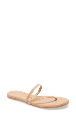 TKEES Sarit Sandal Pout at Nordstrom,