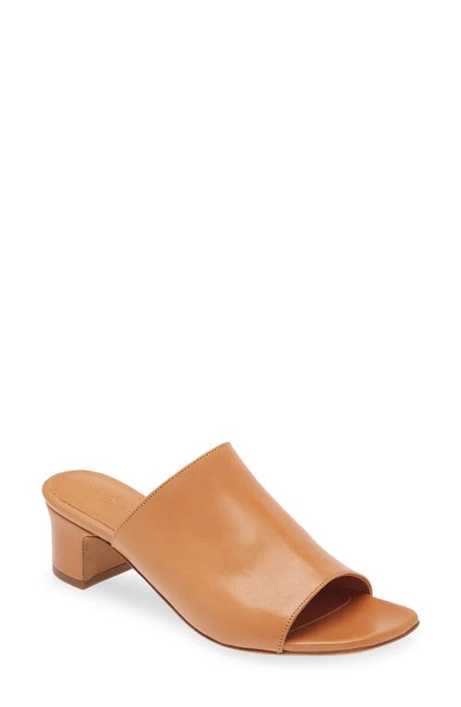 Mansur Gavriel Sun Slide Sandal Cammello at Nordstrom,