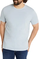 Johnny Bigg Essential Crewneck T-Shirt Powder Blue at Nordstrom,