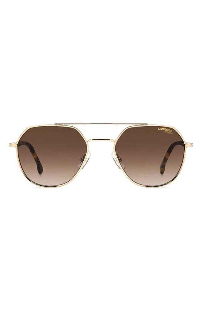 Carrera Eyewear 53mm Round Sunglasses in Gold Havana/Brown at Nordstrom