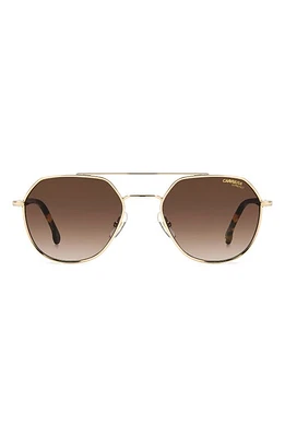 Carrera Eyewear 53mm Round Sunglasses in Gold Havana/Brown at Nordstrom