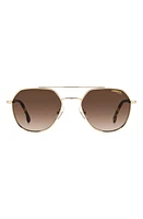 Carrera Eyewear 53mm Round Sunglasses in Gold Havana/Brown at Nordstrom