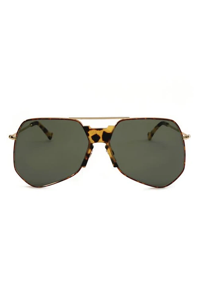 Grey Ant Goste 58mm Aviator Sunglasses in Gold/Green at Nordstrom