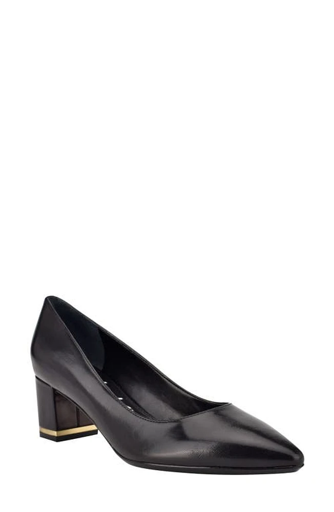 Calvin Klein Nita Block Heel Pump at Nordstrom,