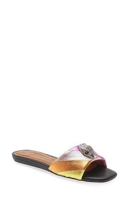 Kurt Geiger London Kensington Slide Sandal Pink Multi at Nordstrom,