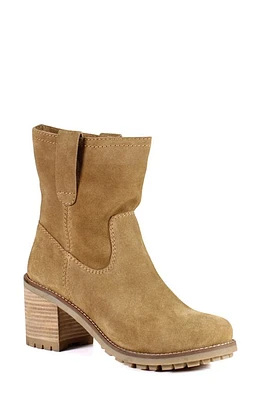 Diba True Chloe Mae Bootie at Nordstrom,