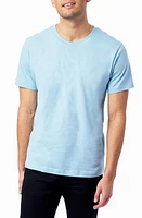 Alternative Go-To T-Shirt at Nordstrom,