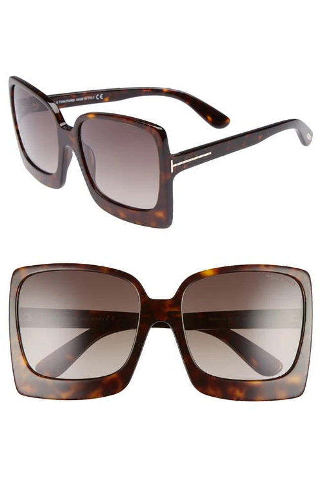 TOM FORD Katrine 60mm Sunglasses in Dark Havana/Gradient Roviex at Nordstrom