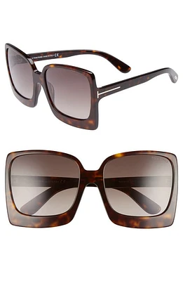 TOM FORD Katrine 60mm Sunglasses in Dark Havana/Gradient Roviex at Nordstrom