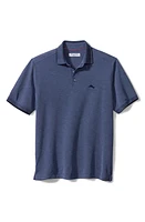 Tommy Bahama IslandZone Via Verde Performance Polo at Nordstrom,