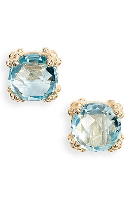 Anzie Dew Drop Cluster Stud Earrings in Gold at Nordstrom