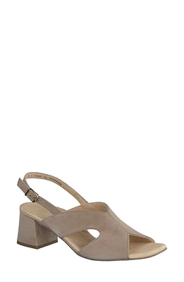 Paul Green Remy Slingback Sandal at Nordstrom,