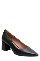 Linea Paolo Bilson Pointed Toe Pump at Nordstrom,