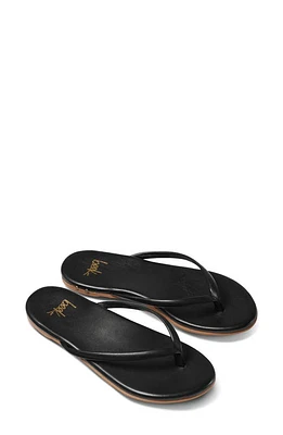 Beek Sunbeam Flip Flop at Nordstrom,