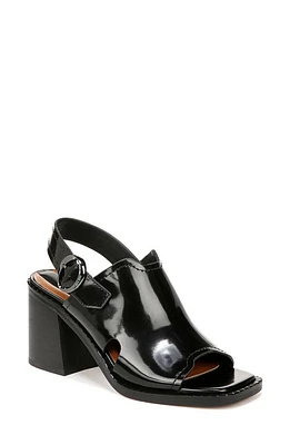 Franco Sarto Amy Slingback Sandal in Black at Nordstrom, Size 7.5