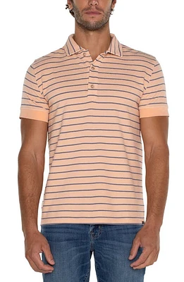 Liverpool Los Angeles Stripe Polo at Nordstrom,