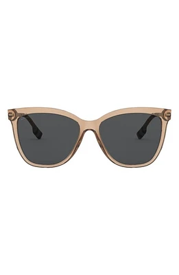 burberry 56mm Square Sunglasses in Brown Gradient at Nordstrom