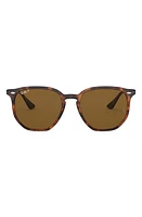 Ray-Ban 54mm Polarized Irregular Sunglasses in Havana at Nordstrom