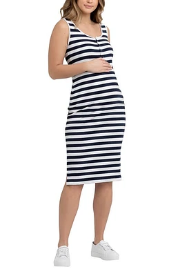 Ripe Maternity Lee Stripe Snap Button Maternity/Nursing Dress in Navy /White at Nordstrom