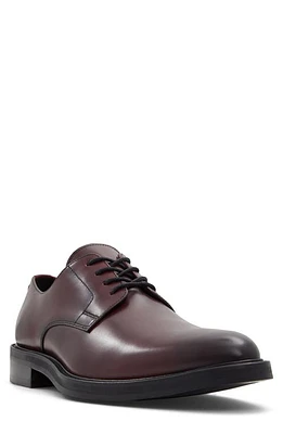 ALDO Libertine Derby Bordo at Nordstrom,