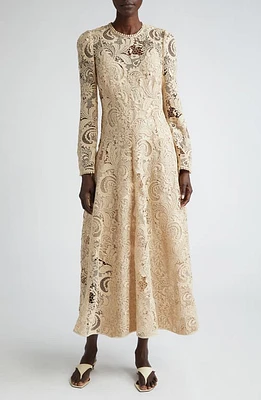 Zimmermann Waverly Long Sleeve Lace Midi Dress Taupe at Nordstrom,