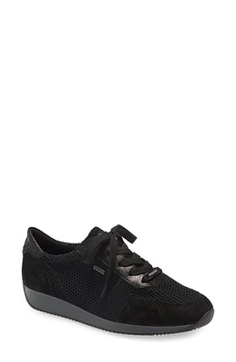 ara Lila Gore-Tex Waterproof Sneaker Black at Nordstrom,