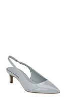 Calvin Klein Dainty Kitten Heel Pointed Toe Slingback Pump at Nordstrom,