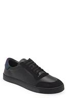 burberry Robin Low Top Sneaker Black/Royal Ip Chk at Nordstrom,