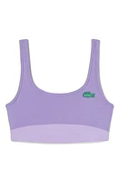 Lacoste x BANDIER Colorblock Sports Bra at Nordstrom,