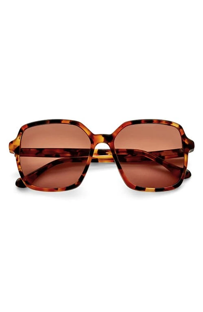 Gemma Styles Lake Shore Drive 55mm Rectangle Sunglasses in Tortoise at Nordstrom