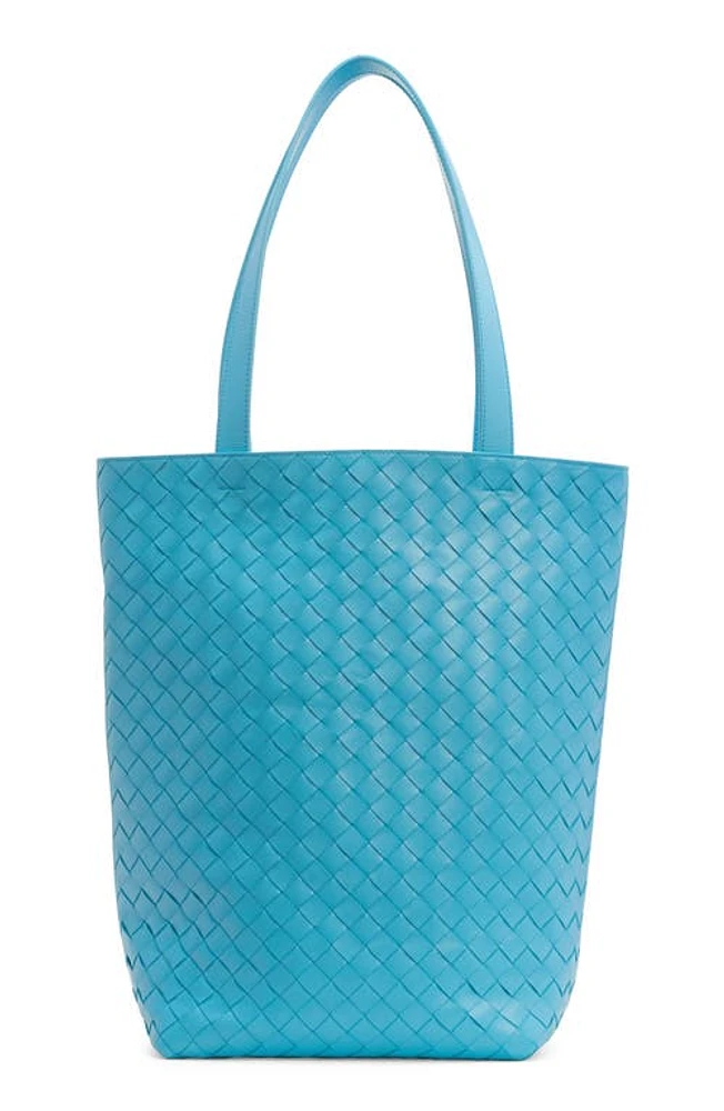 Bottega Veneta Small Intrecciato Leather Tote in Dip/Silver at Nordstrom