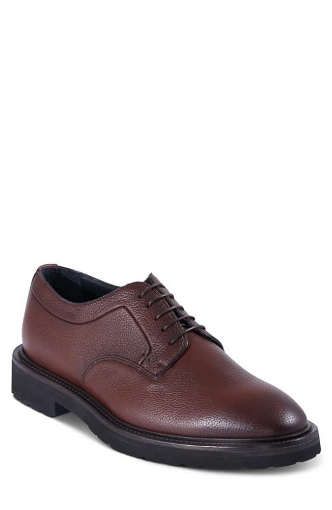 Paul Stuart Barlett Plain Toe Derby Cognac at Nordstrom,