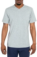 Public Rec Go-To V-Neck T-Shirt at Nordstrom,