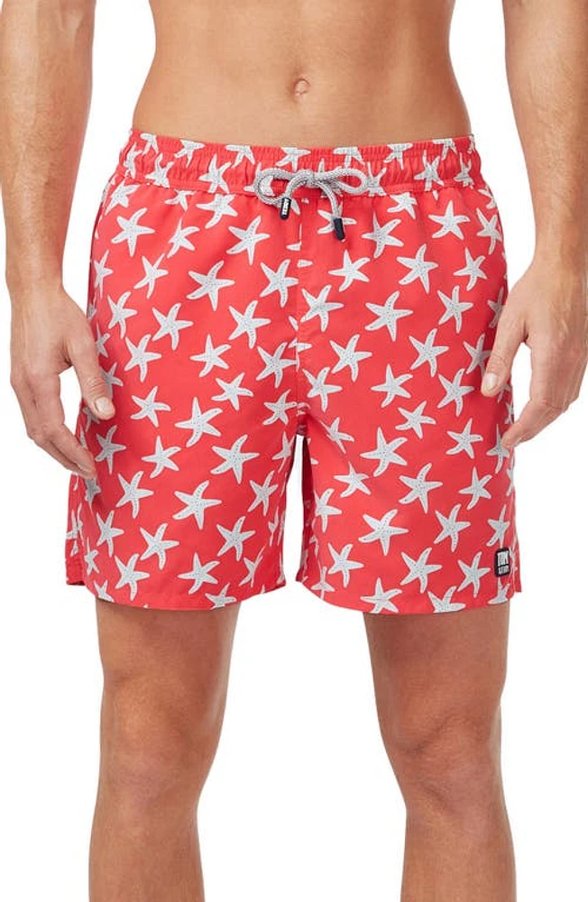 Tom & Teddy Starfish Print Swim Trunks Rose/Blue at Nordstrom,