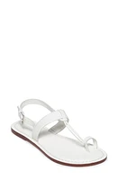 BERNARDO FOOTWEAR Maverick 2 Toe Loop Sandal at Nordstrom,