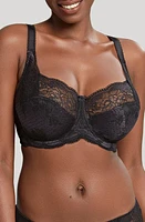 Panache 'Clara' Underwire Full Cup Bra at Nordstrom,