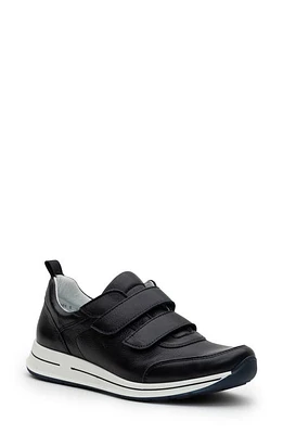 ara Oakland Sneaker Navy at Nordstrom,