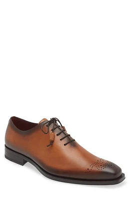 Mezlan Brogue Oxford at Nordstrom,