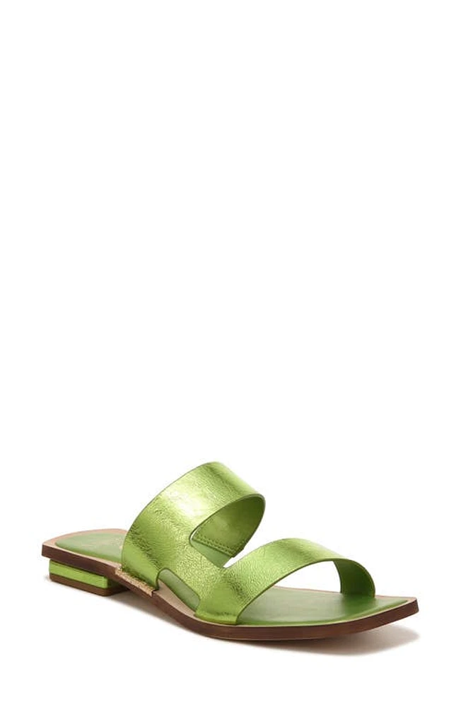 Sarto by Franco Emily Slide Sandal Lime at Nordstrom,