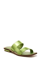 Sarto by Franco Emily Slide Sandal Lime at Nordstrom,