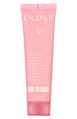 CAUDALÍE VinoHydra Sorbet Cream Moisturizer at Nordstrom