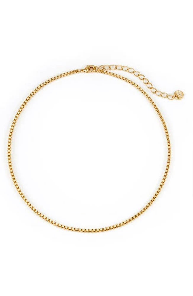 Brook and York Emma Box Chain Choker in Gold at Nordstrom