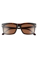 TOM FORD 54mm Blue Light Blocking Glasses & Clip-On Sunglasses in Dark Havana/Clear/Roviex at Nordstrom