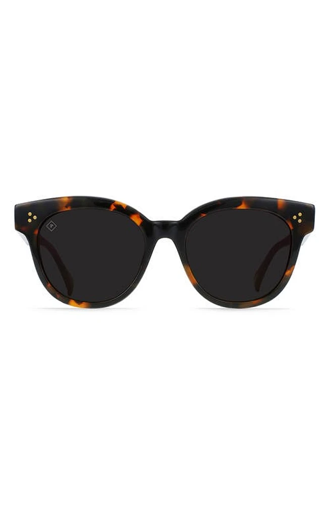 RAEN Nikol 52mm Polarized Round Sunglasses in Nero Tortoise /Dark Smoke-52 at Nordstrom