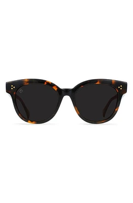 RAEN Nikol 52mm Polarized Round Sunglasses in Nero Tortoise /Dark Smoke-52 at Nordstrom