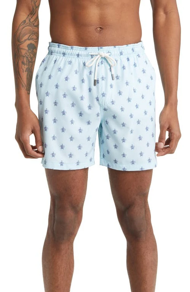 Stone Rose Turtle Print Swim Trunks Light Blue at Nordstrom,