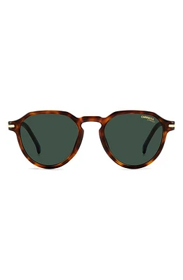 Carrera Eyewear 50mm Round Sunglasses in Havana/Green at Nordstrom