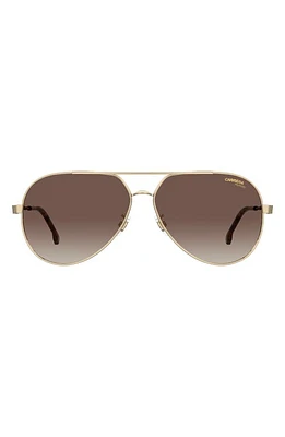 Carrera Eyewear 63mm Polarized Oversize Aviator Sunglasses in Gold Havana/Brown Polar at Nordstrom