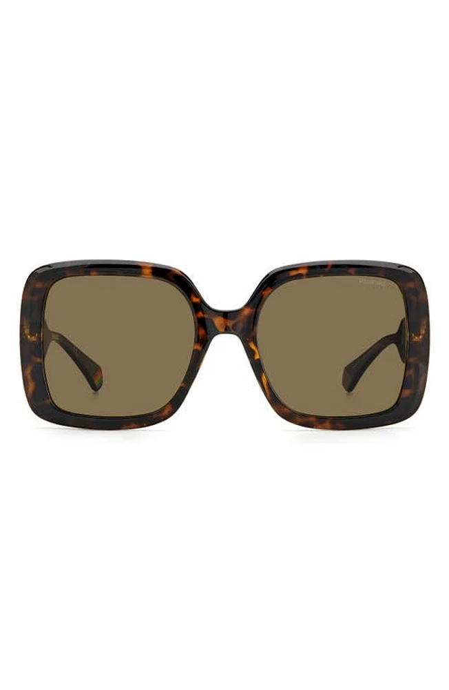 Polaroid 54mm Polarized Square Sunglasses in Havana /Bronze Polar at Nordstrom