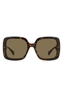 Polaroid 54mm Polarized Square Sunglasses in Havana /Bronze Polar at Nordstrom